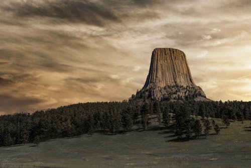 Scenic View of a Rock Formation Near the Trees