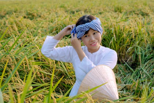 Free stock photo of cánh đồng lúa, cô gái châu á, người nông dân