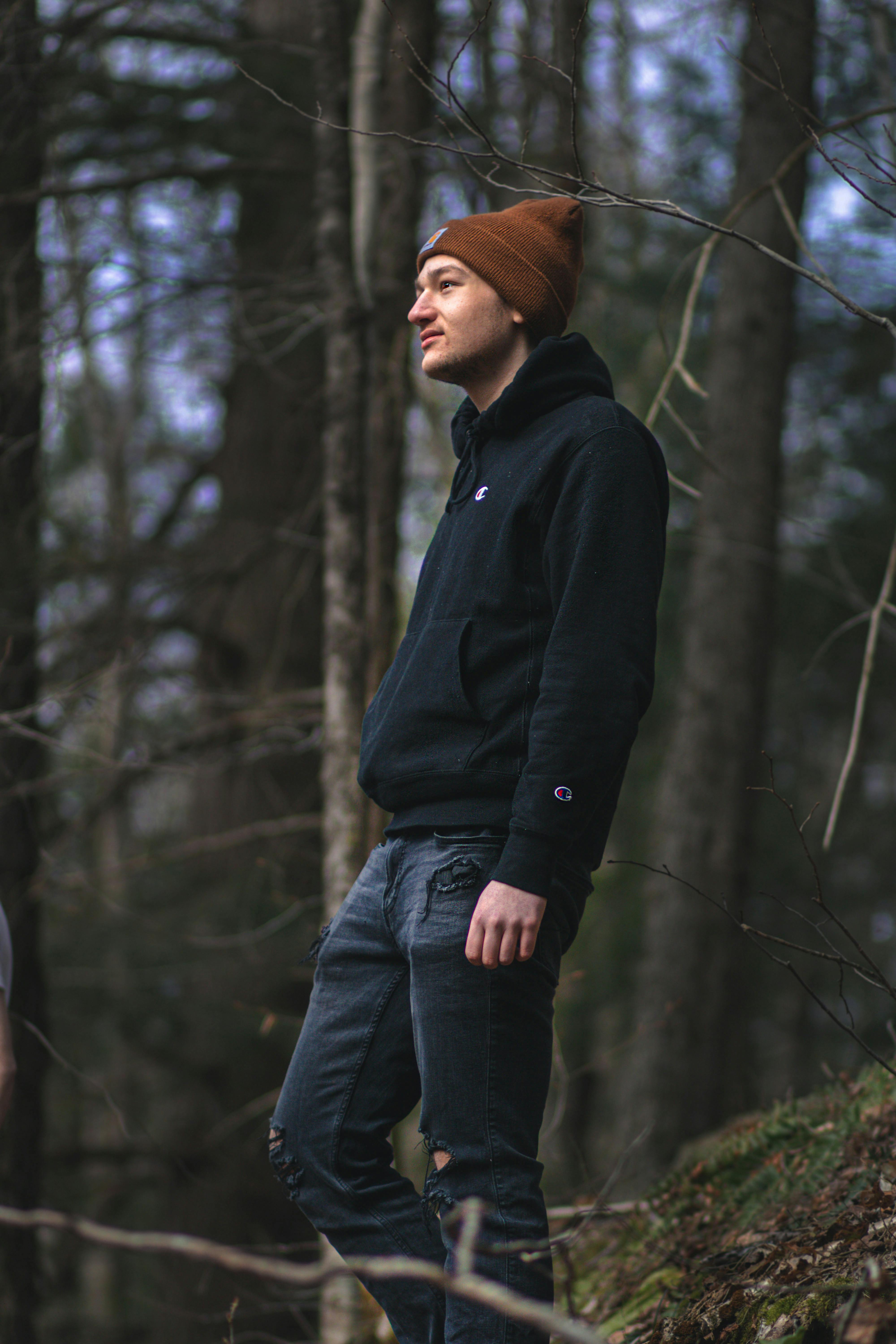 What does overwatering a tree look like?