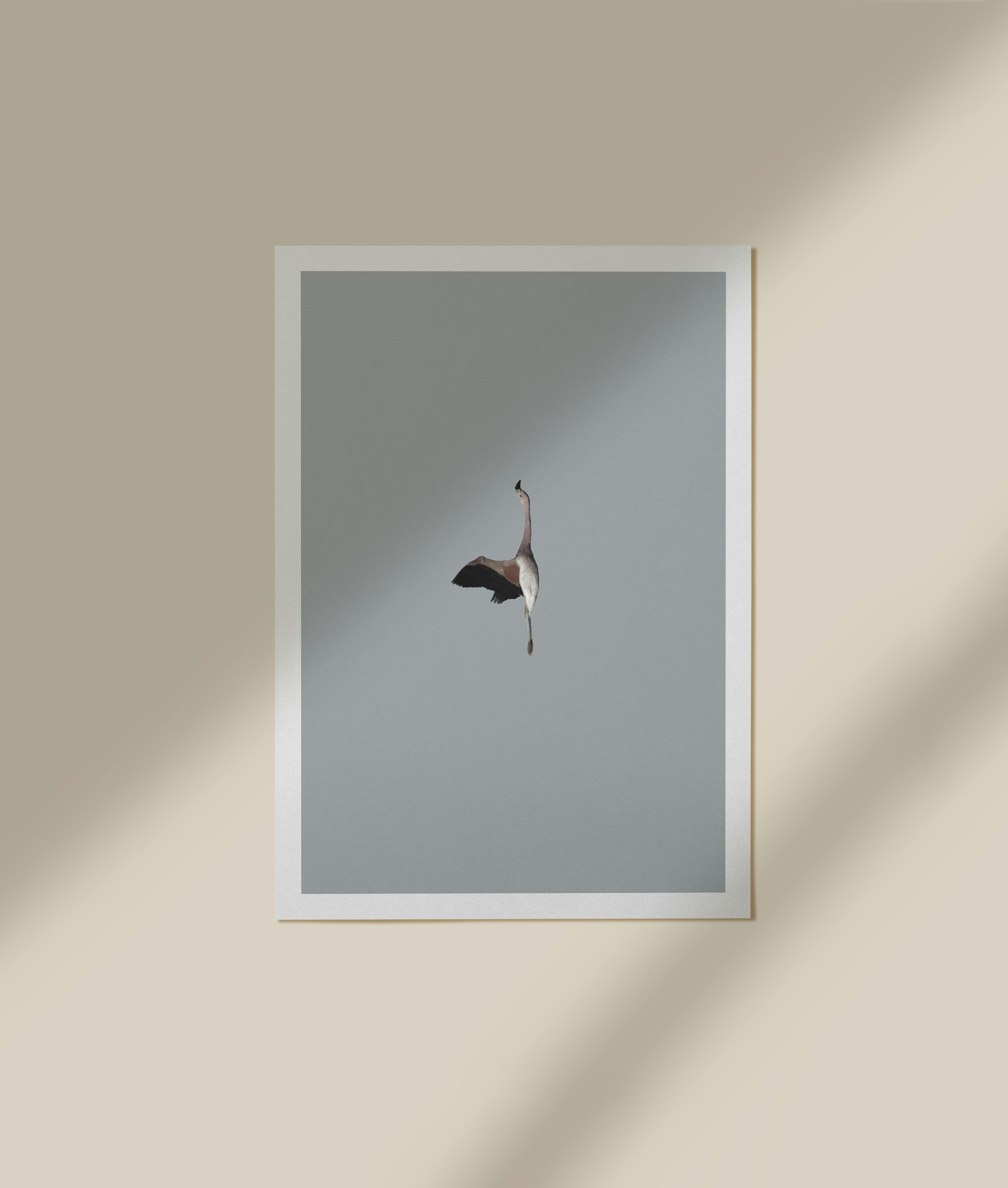 Minimalist artwork of a flamingo in flight, framed against a neutral background.