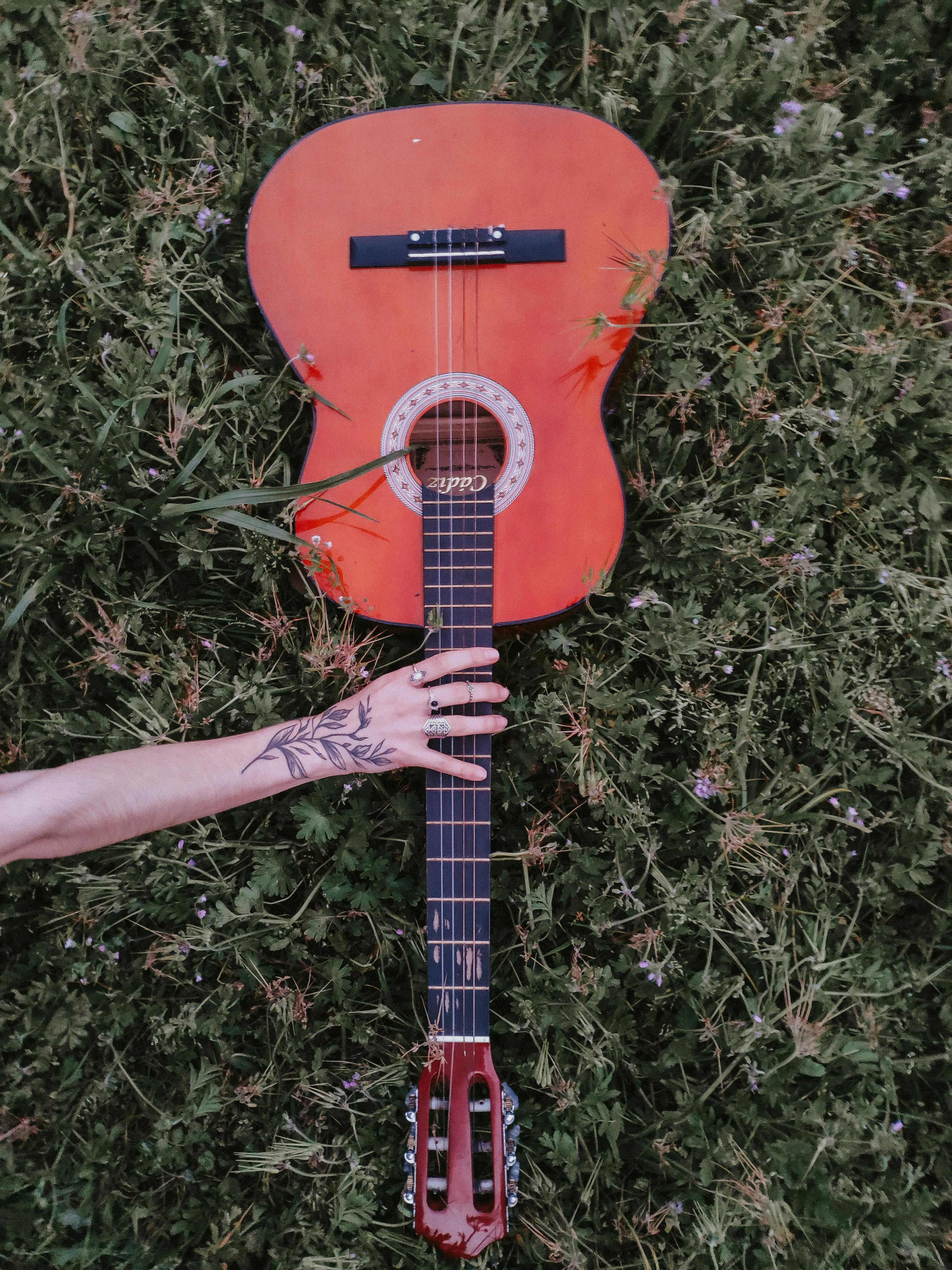 Accessories Essential for Your First​ Guitar Journey