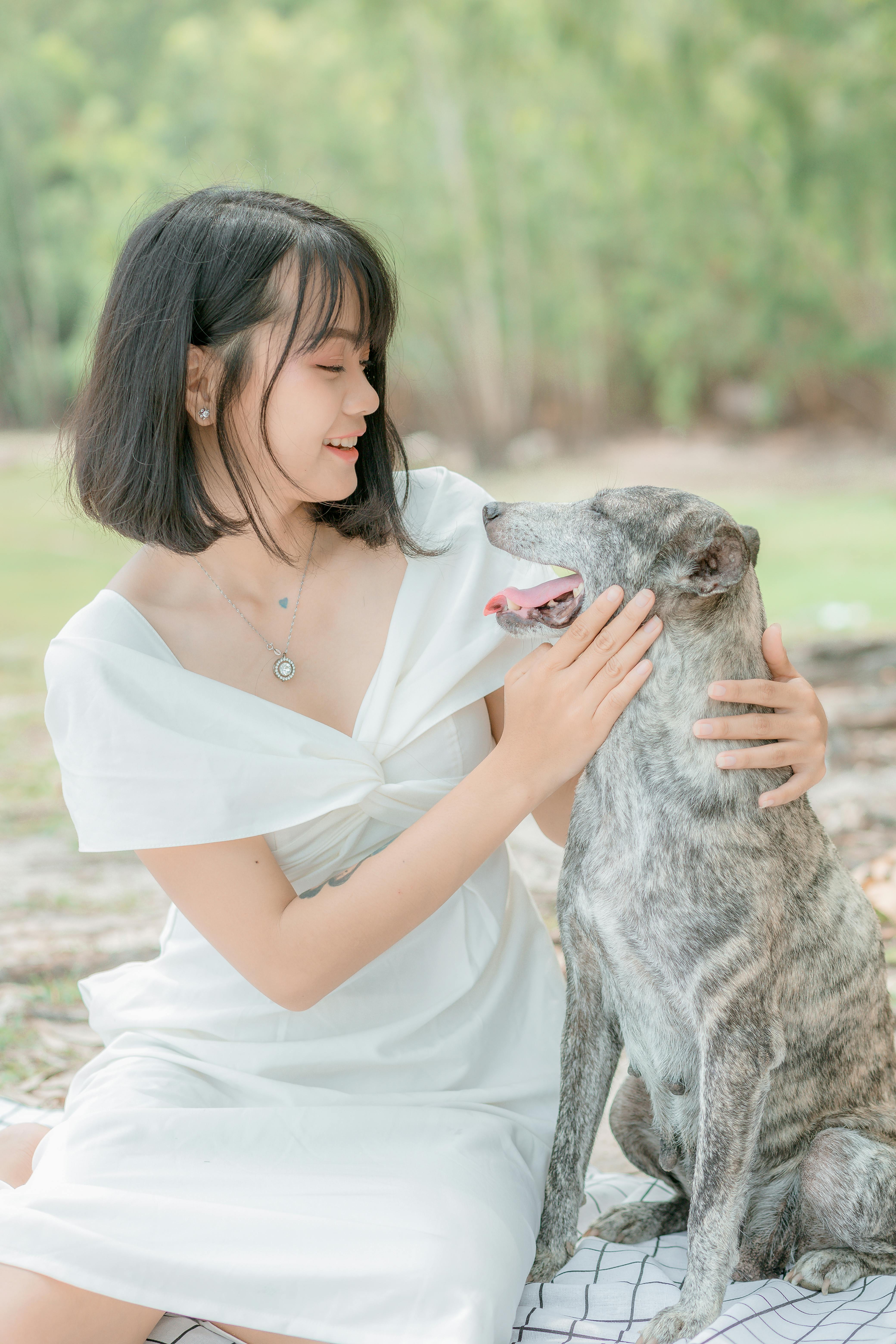 Young stylish smiling ethnic female stroking content gray dog with tongue out in summer