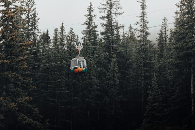 Gondola Lift Against Coniferous Forest