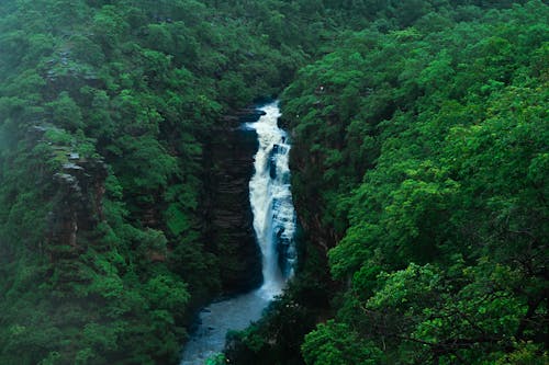 From above scenery view of rapid white cascade between lush green mounts with woods