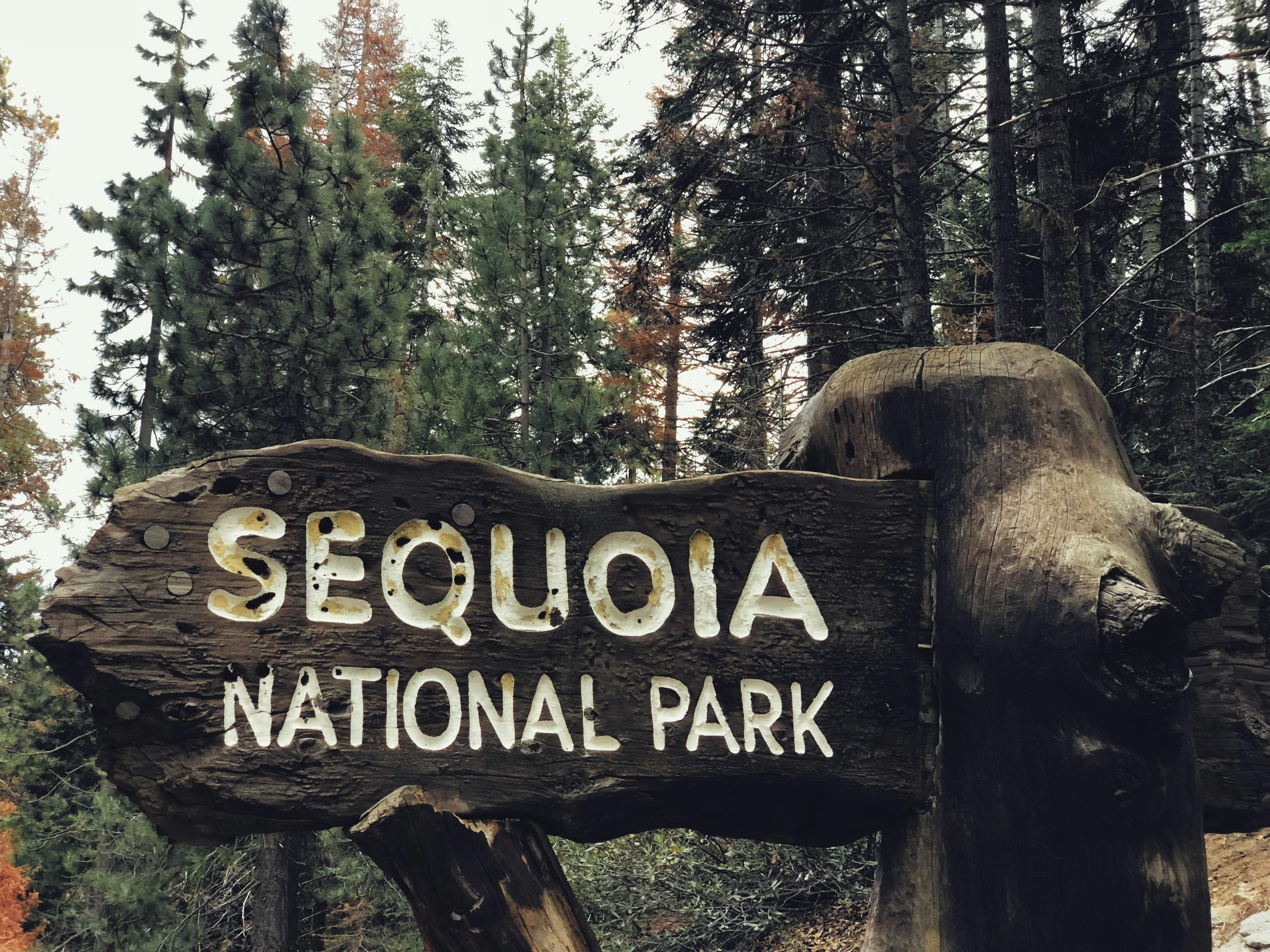 Wooden Signage of Sequoia National Park