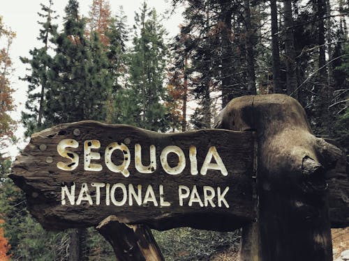 Wooden Signage of Sequoia National Park 
