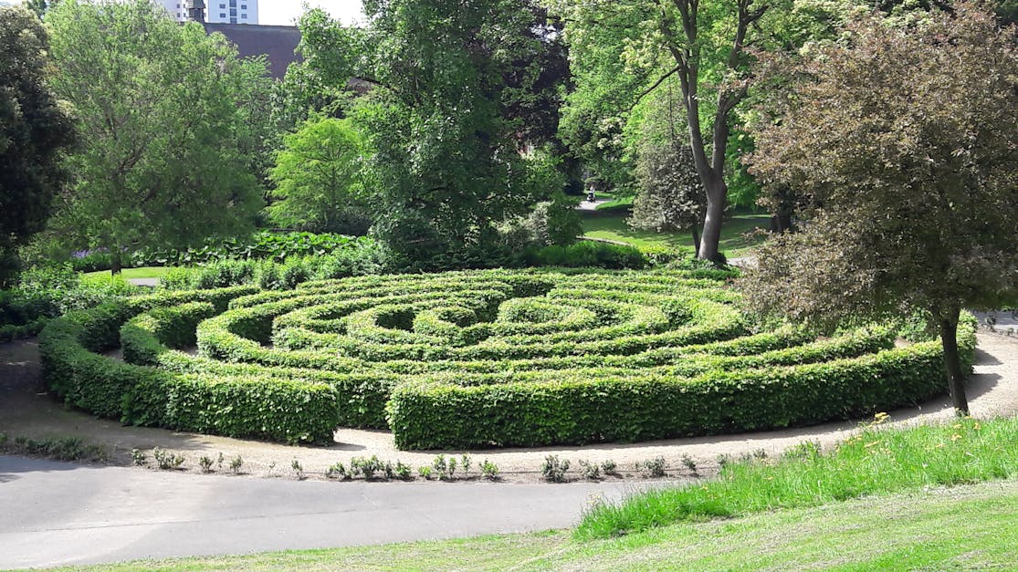 Free stock photo of arboretum, maze, park