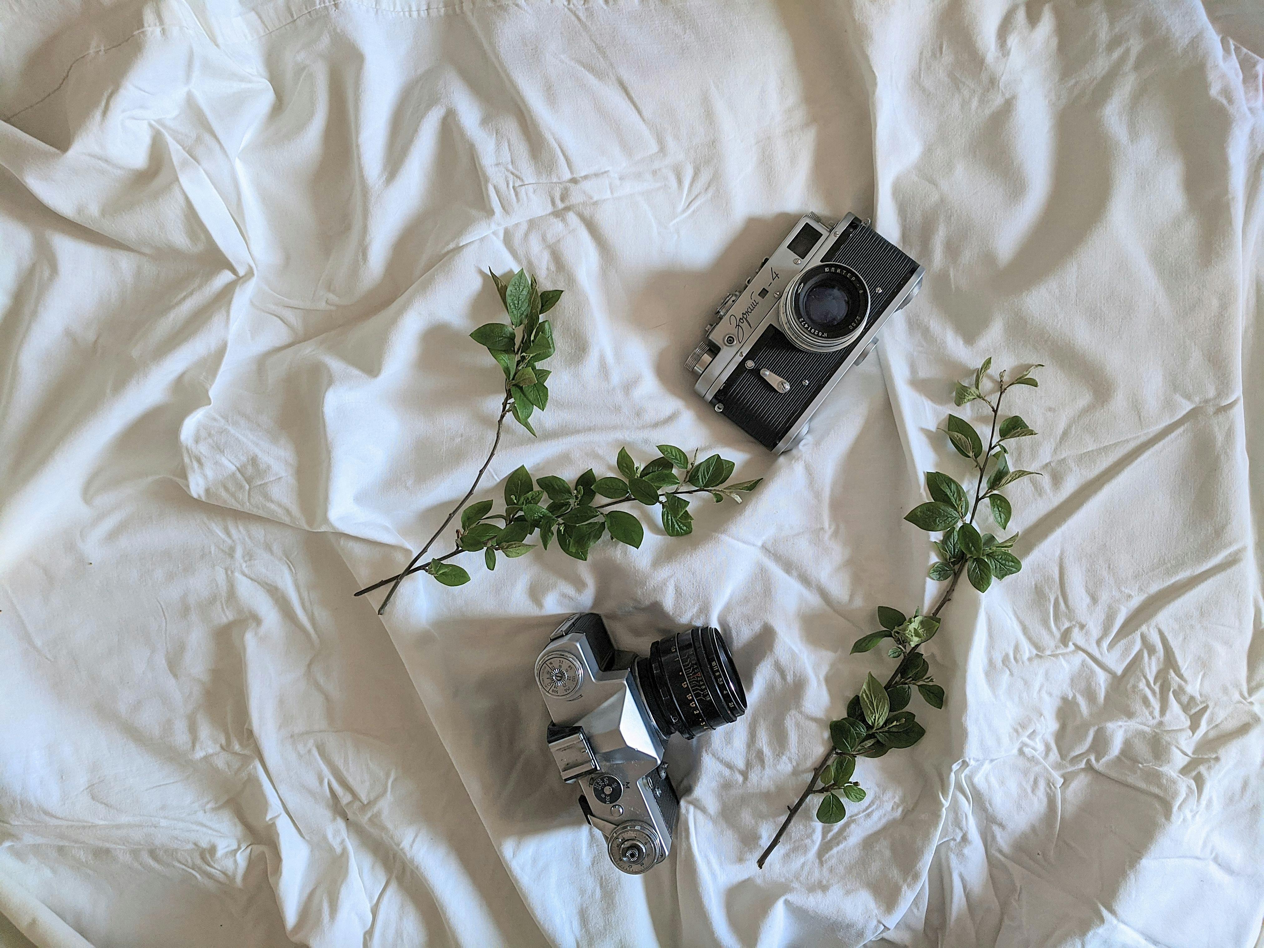 ## Comparing Smartphone Cameras with DSLR Cameras