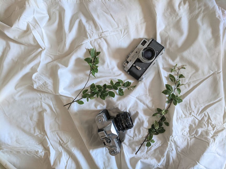 ## Comparing Smartphone Cameras with DSLR Cameras