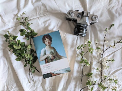 Kostnadsfri bild av bok, dslr, flatlay