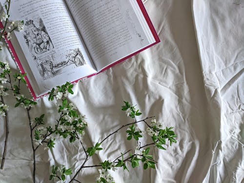 Close-Up Shot of an Open Book on White Textile