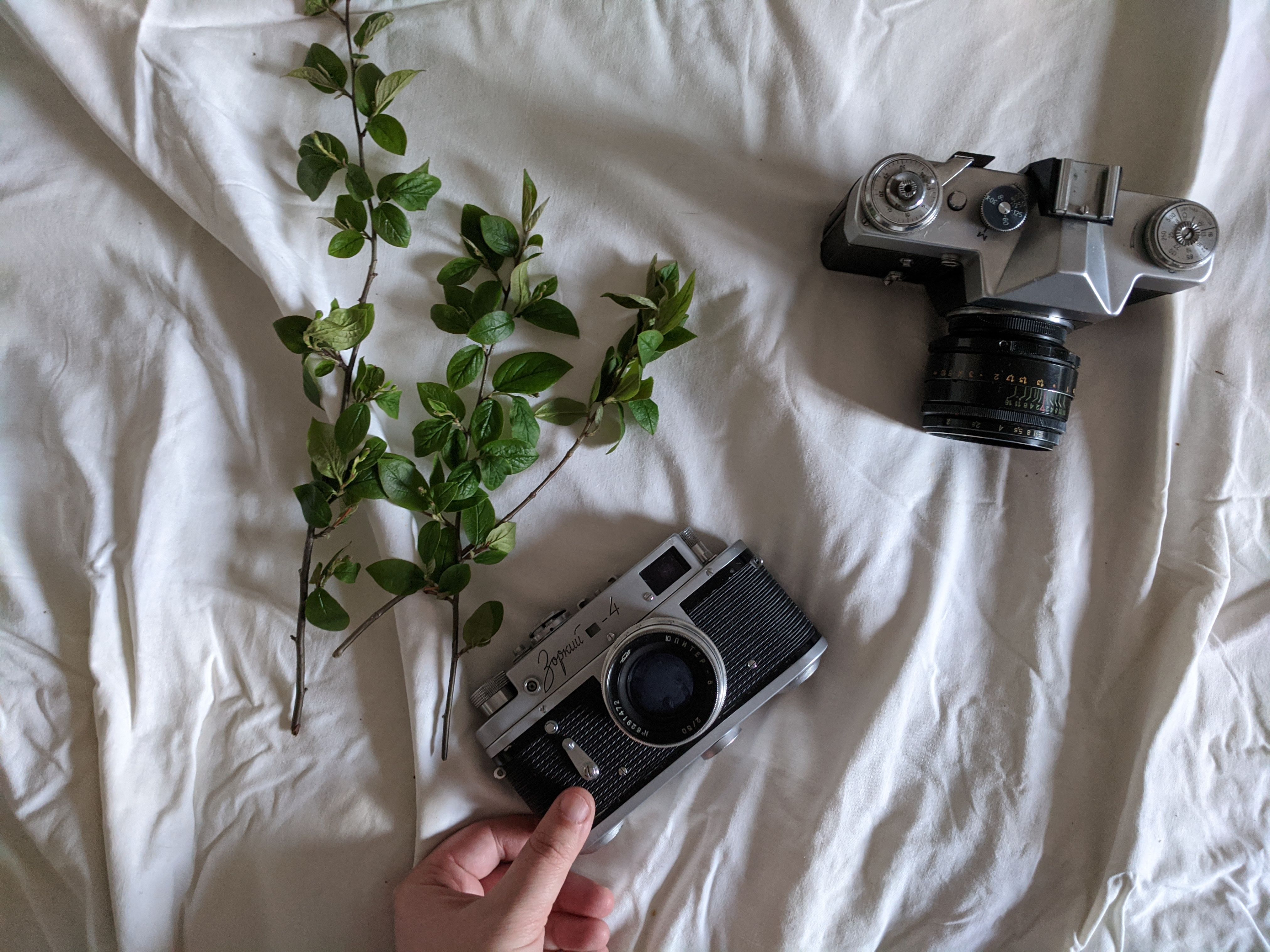 How to Find Creative Photography Inspiration in 7 Steps — Photo by Asya Vlasova on Pexels