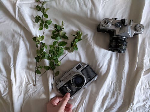 Δωρεάν στοκ φωτογραφιών με vintage, κάμερα, φύλλα Φωτογραφία από στοκ φωτογραφιών