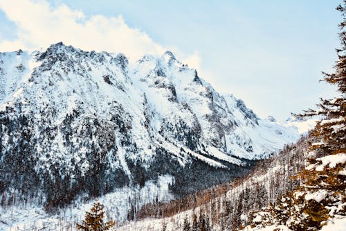 Безкоштовне стокове фото на тему «гірський хребет, гори татри, дерева»