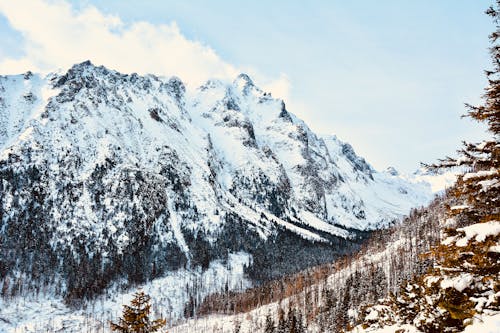 Foto profissional grátis de árvores, cadeia de montanhas, Eslováquia