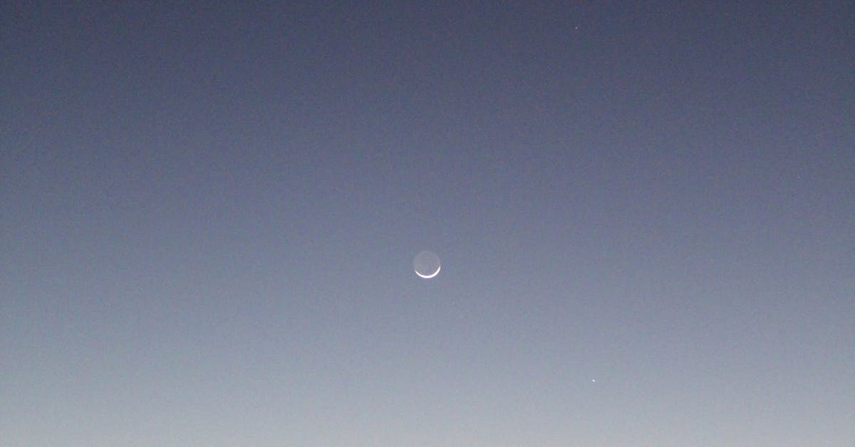 Free stock photo of crescent moon, evening sky, gum trees