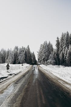 A tranquil winter road stretches through a snow-covered forest, showcasing nature's serene beauty.
