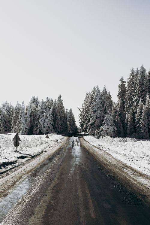 Free Straight road in snowy terrain leading to forest in winter day in gloomy weather Stock Photo