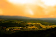 黄金时段拍摄的乡村景观令人惊叹，展现了田野、森林和鲜艳的天空