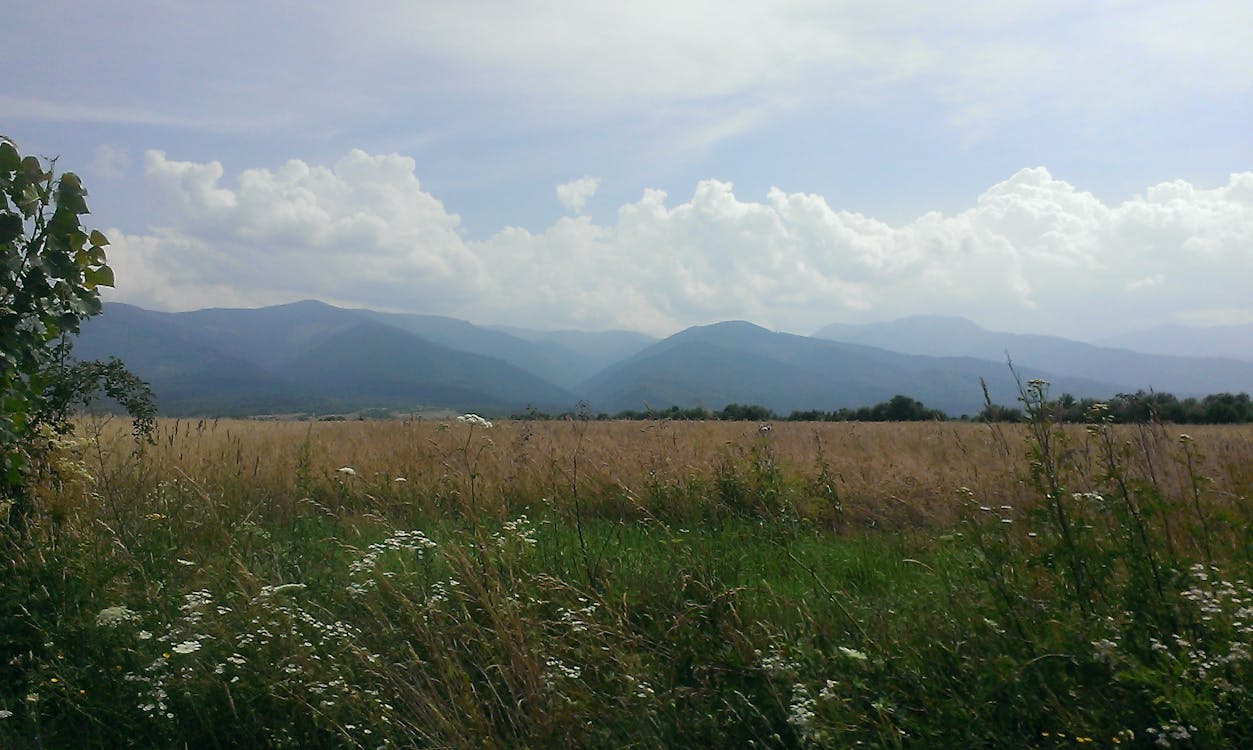 Free Ảnh lưu trữ miễn phí về cao, đồng cỏ, núi Stock Photo