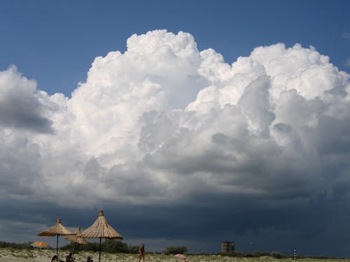 Free 日光浴の傘, 砂, 見るの無料の写真素材 Stock Photo