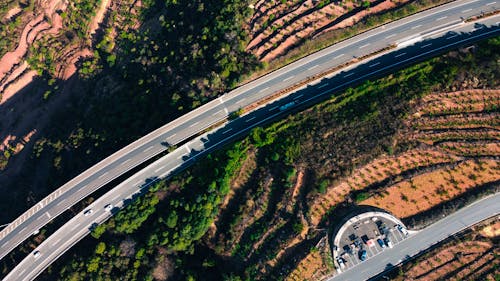 Asphalt road junction near green trees