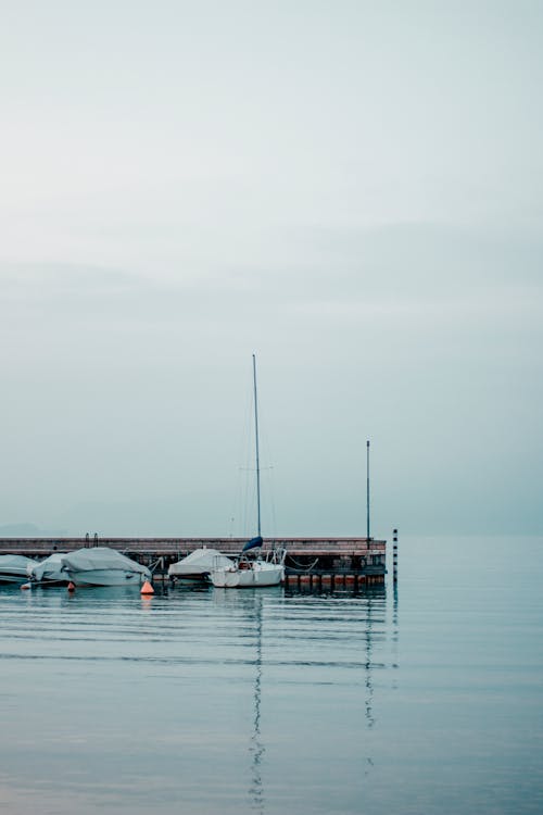 Photograph of White Boats on a Dock
