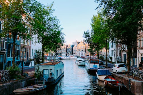 Peaceful scenery of Amsterdam streets with typical houses against channel with moored boats on clear sunny day