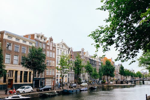 Free Typical Dutch architecture of cozy buildings situated on riverbank during clear spring day Stock Photo