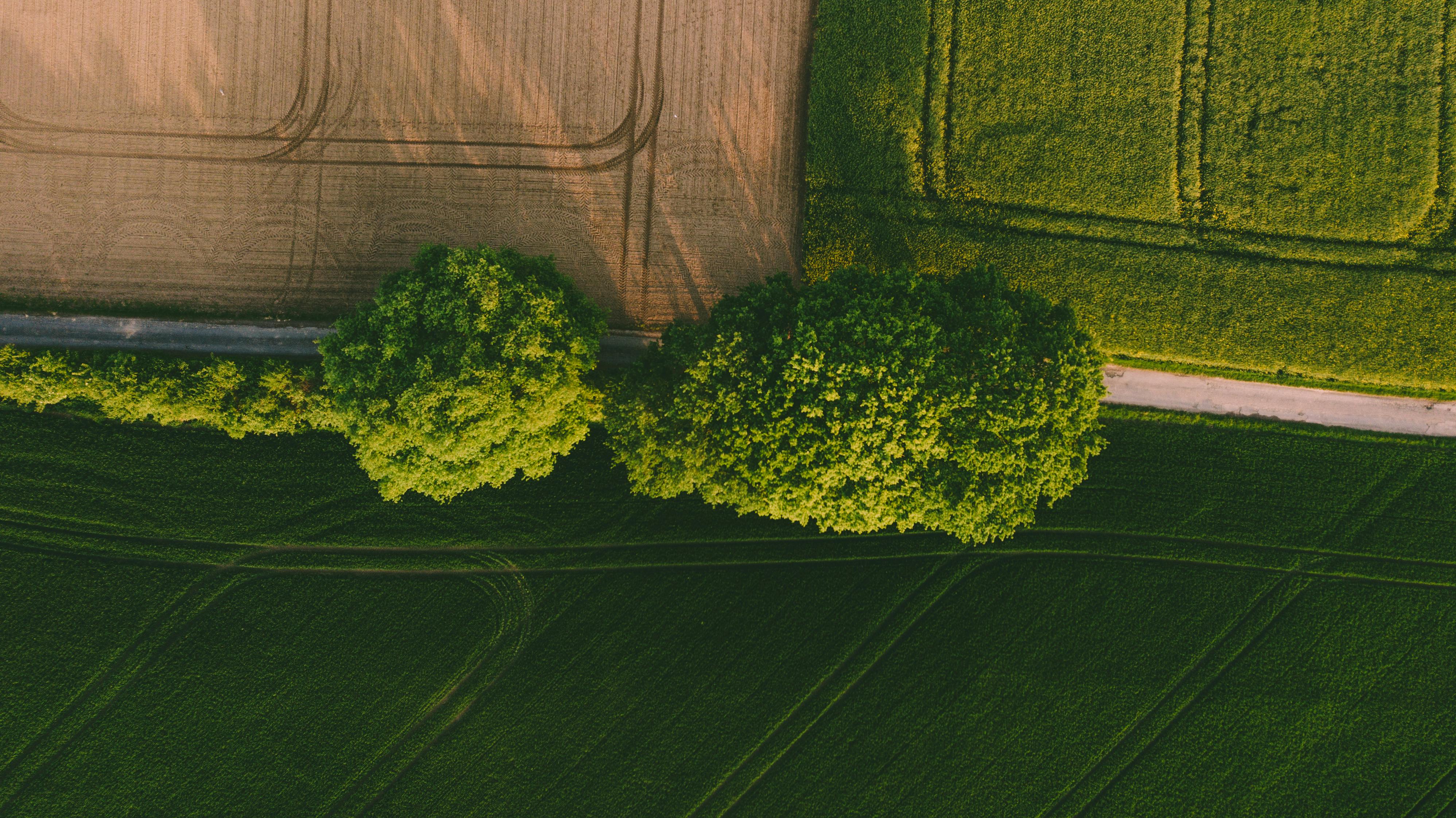 Corporate Governance: The “G” in ESG — Photo by James Owen on Pexels