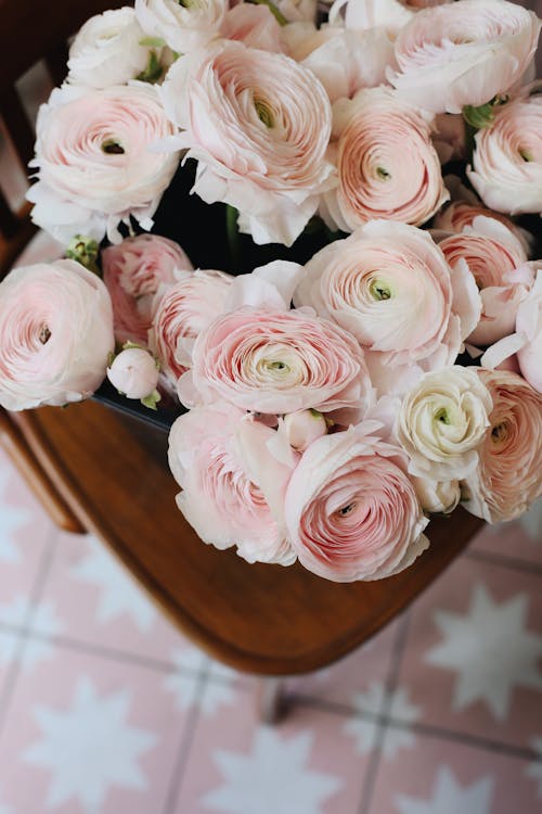 Close-Up Photo of a Bouquet of Pink Rose Flowers