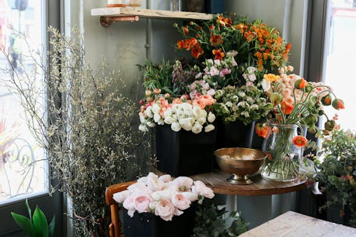꽃, 꽃 가게, 꽃집의 무료 스톡 사진
