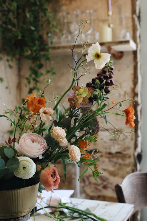 Gratis stockfoto met bloemen, bloempot, detailopname