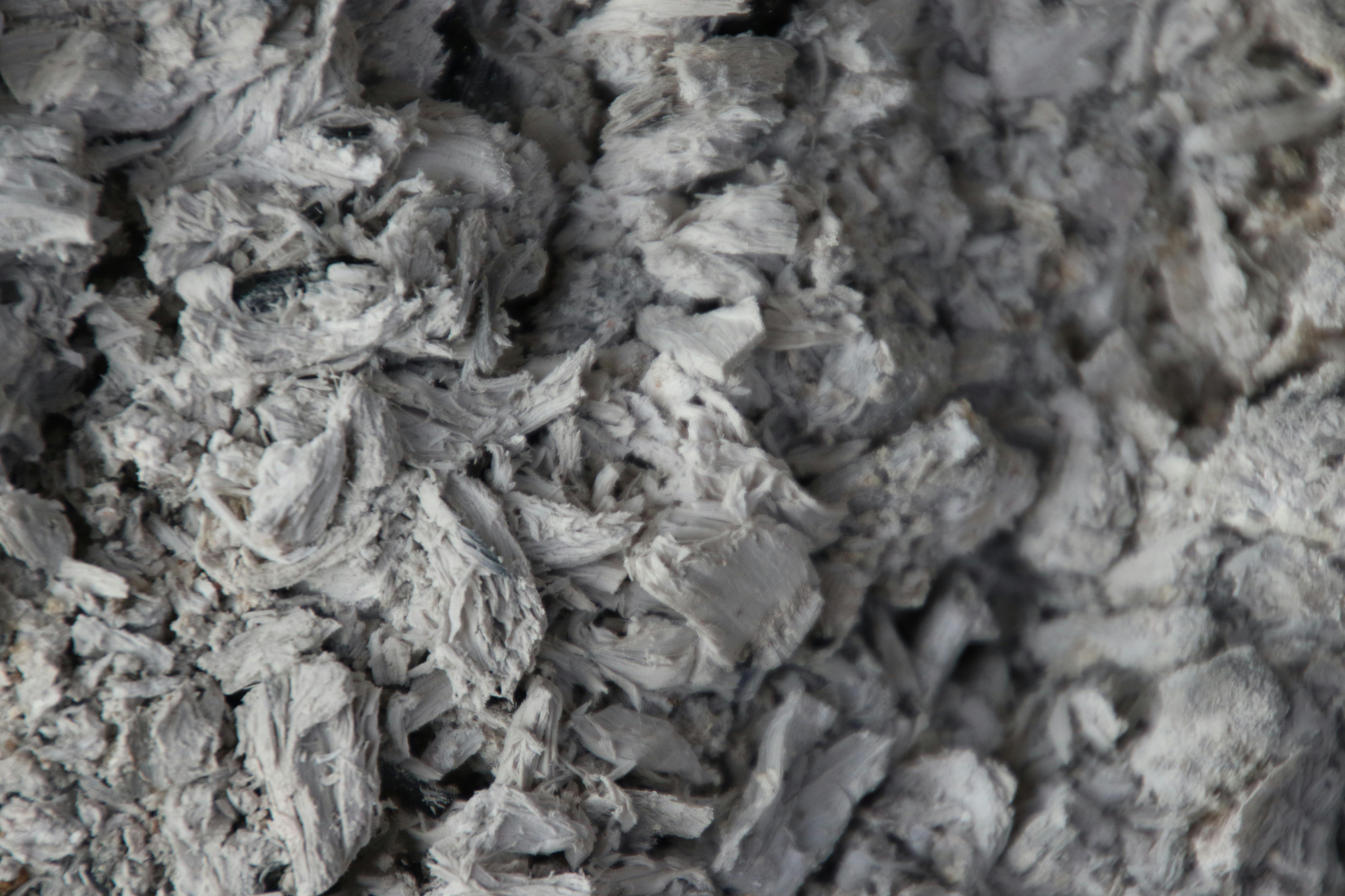 Free stock photo of ash, braai, burn