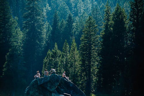 Free People Sitting on a Boulder Near Green Trees Stock Photo