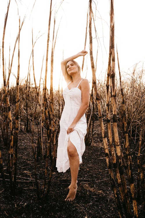 Free Full body content sensual female wearing stylish white dress standing gracefully with arm raised on dry field amidst tall leafless trees Stock Photo