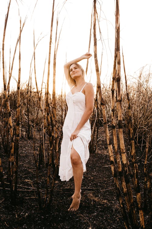 Full body content sensual female wearing stylish white dress standing gracefully with arm raised on dry field amidst tall leafless trees