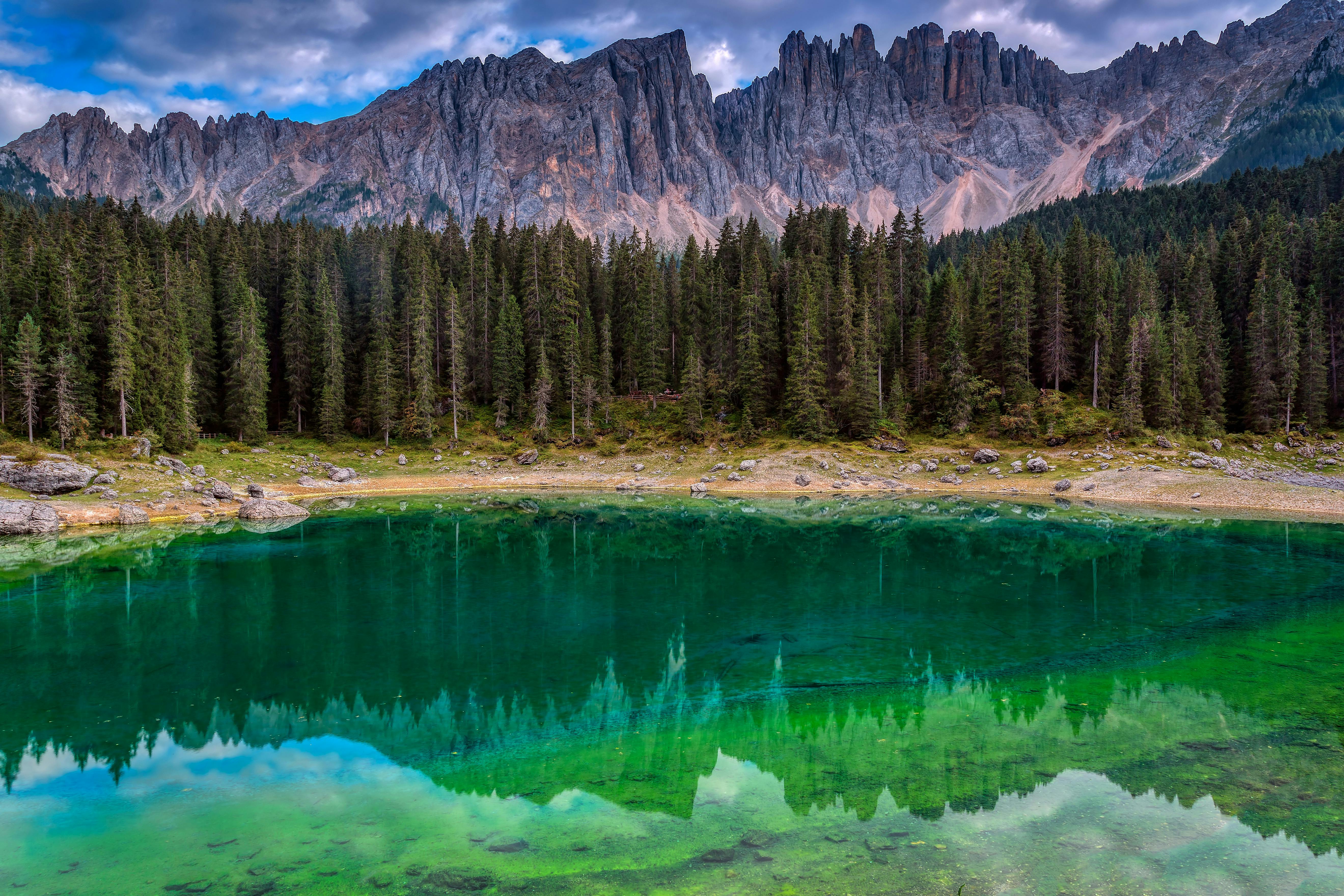 Bed Bug Control at Co-op City: Managing Infestations in America's Largest Cooperative