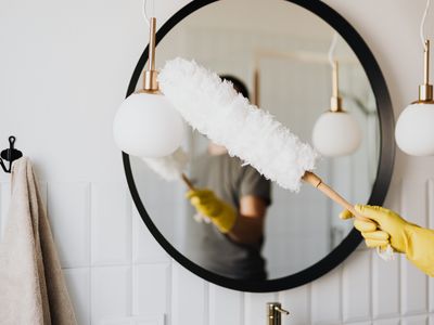 Mops & Brushes