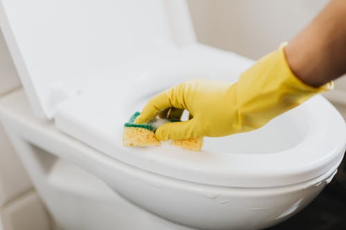 Free From above of crop anonymous person in rubber gloves using soapy sponge while cleaning toilet bowl Stock Photo