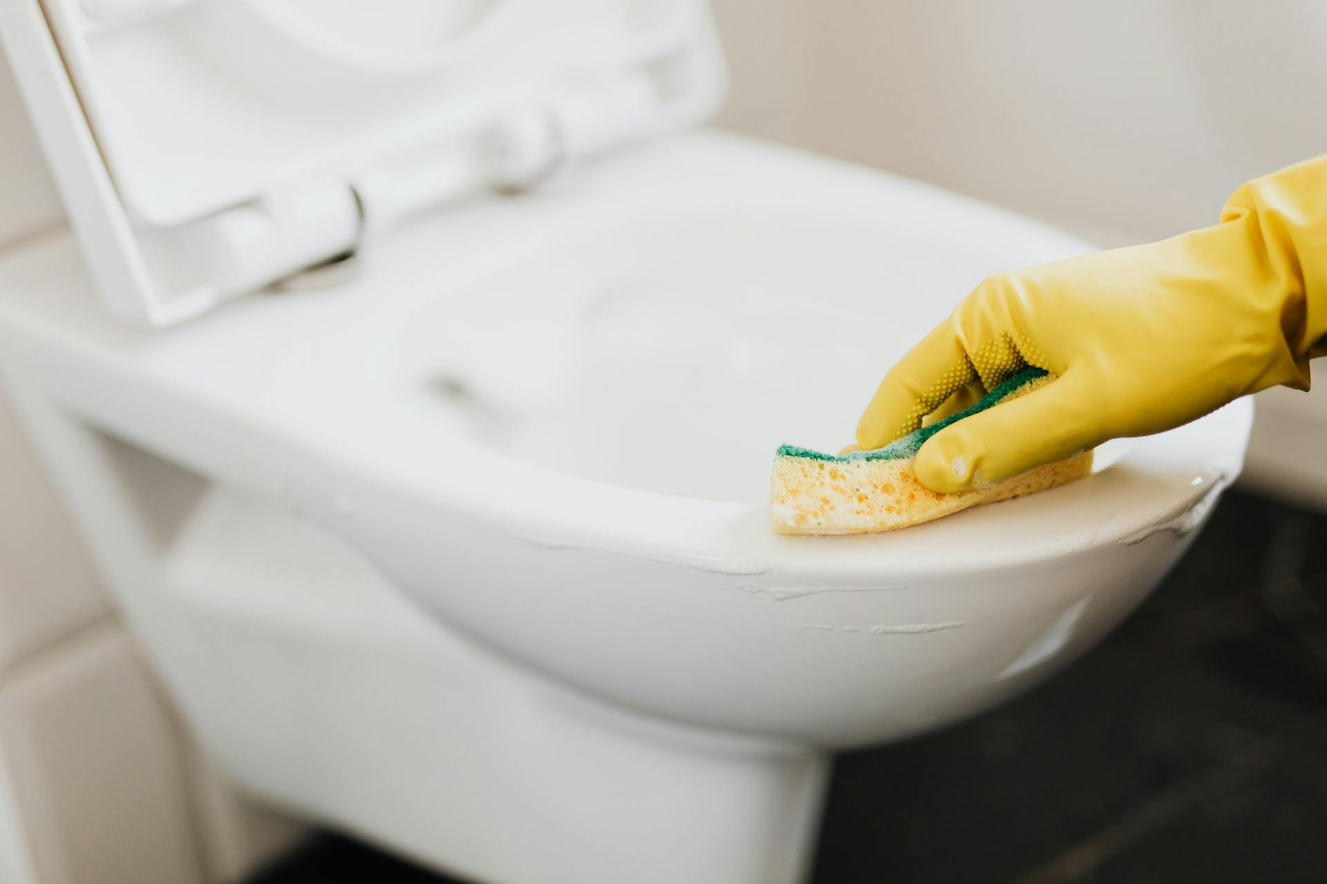 Crop person in rubber glove cleaning toilet bowl