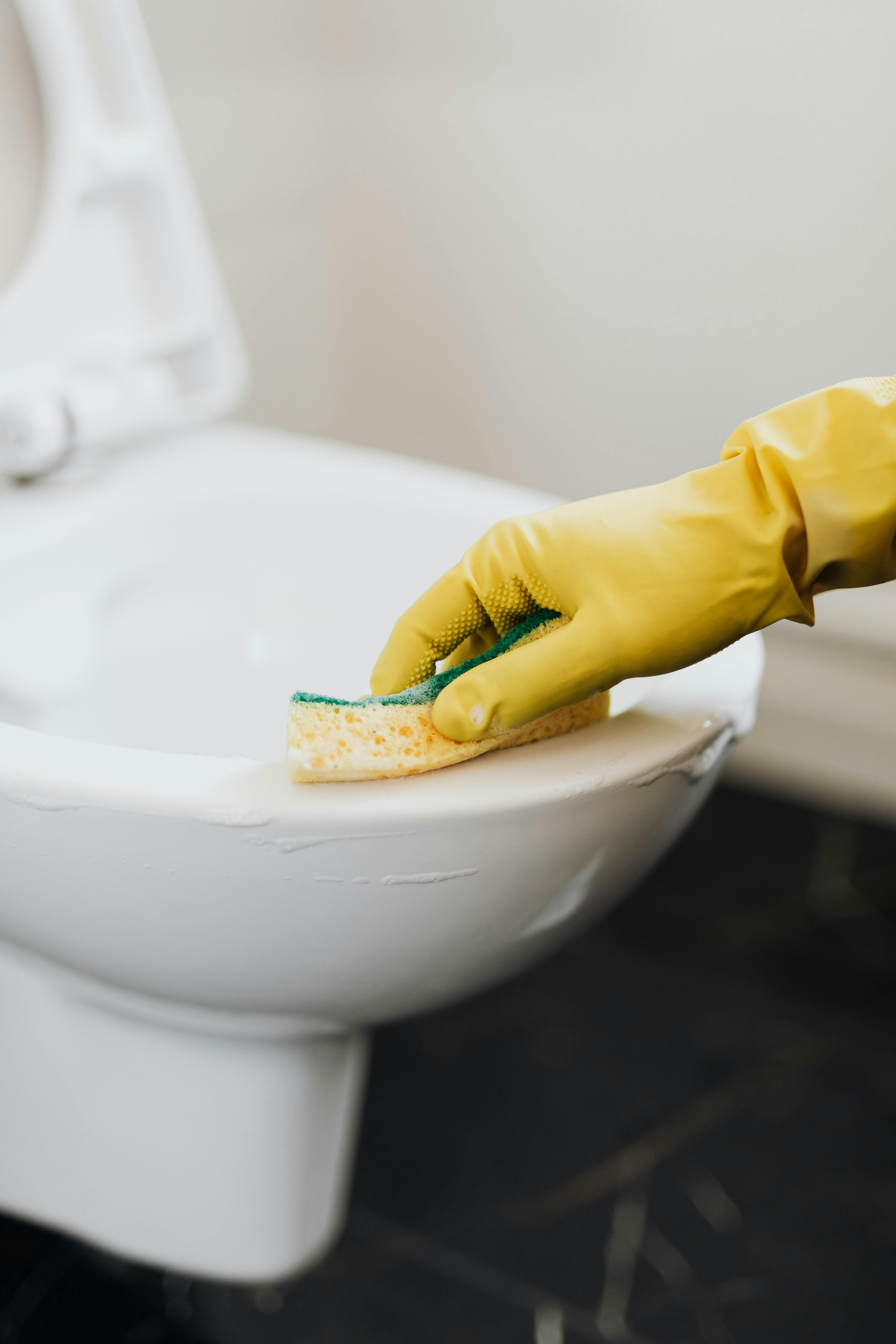 How to Clean a Toilet (and Remove Hard Water Stains)