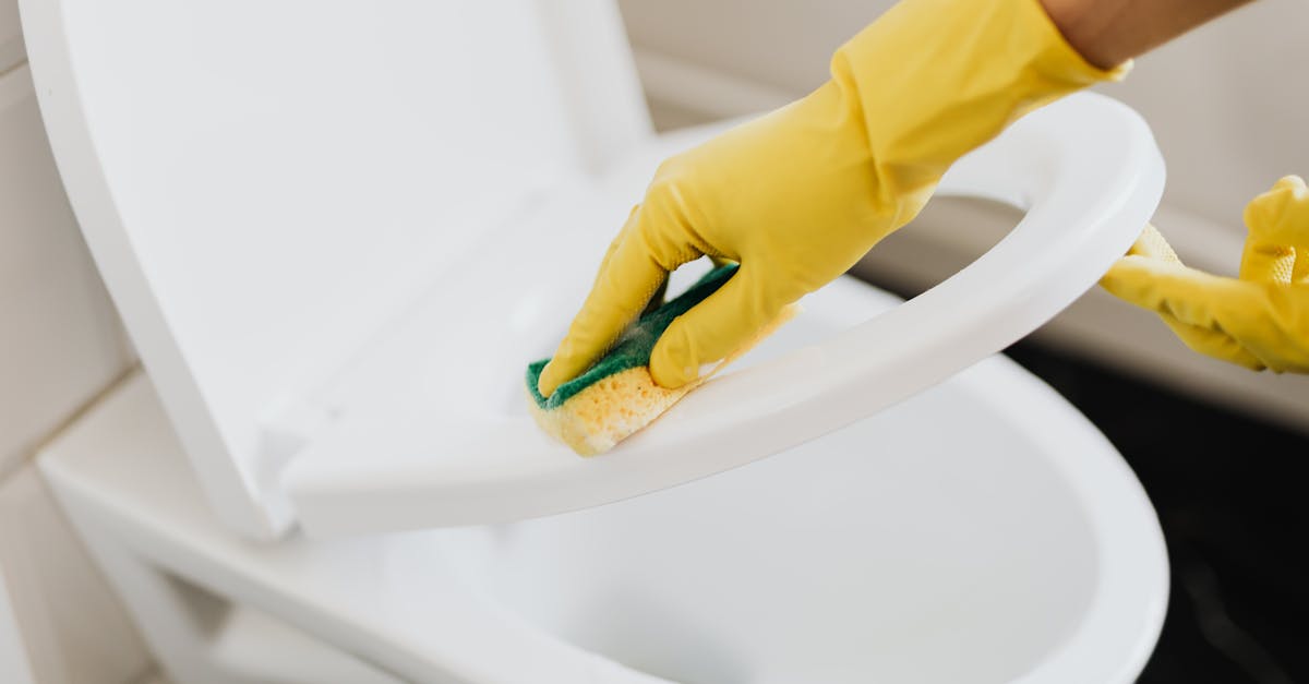 How to remove toilet stains from seat