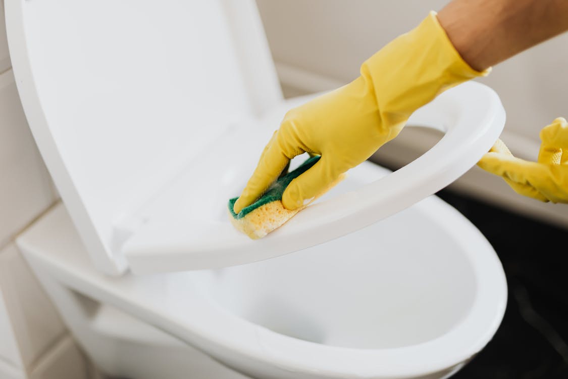 Free Crop person cleaning toilet seat with sponge Stock Photo