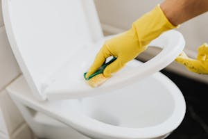 Crop person cleaning toilet seat with sponge