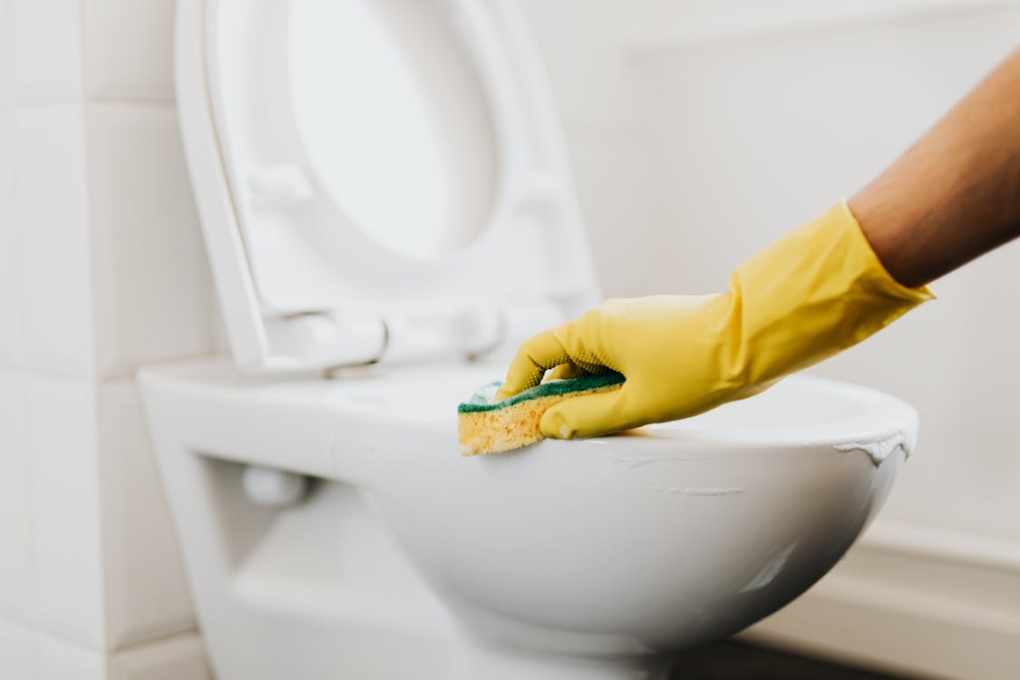 Free Crop cleaner in rubber glove wiping toilet rim Stock Photo