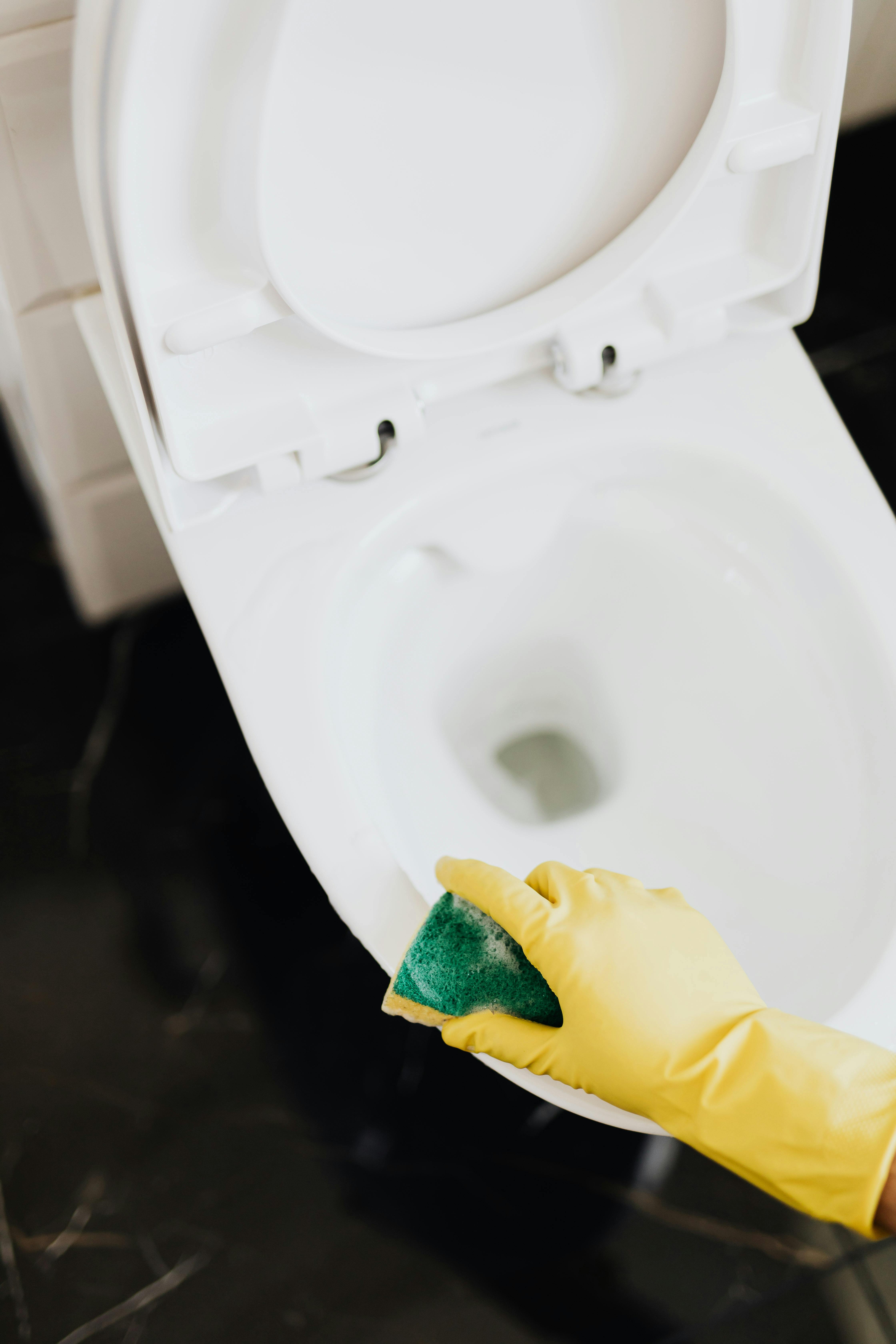 Cleaning Toilet Big Sponge Wearing Rubber Stock Photo 41655961