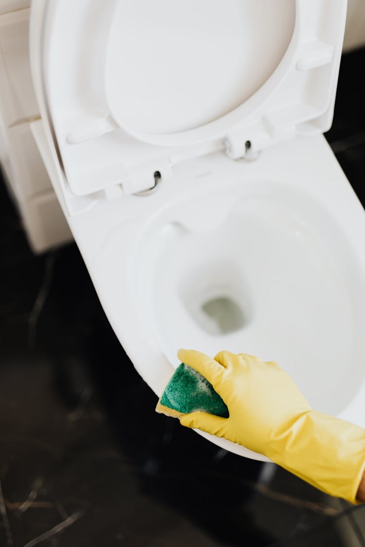 Crop Person Cleaning Toilet Rim With Sponge