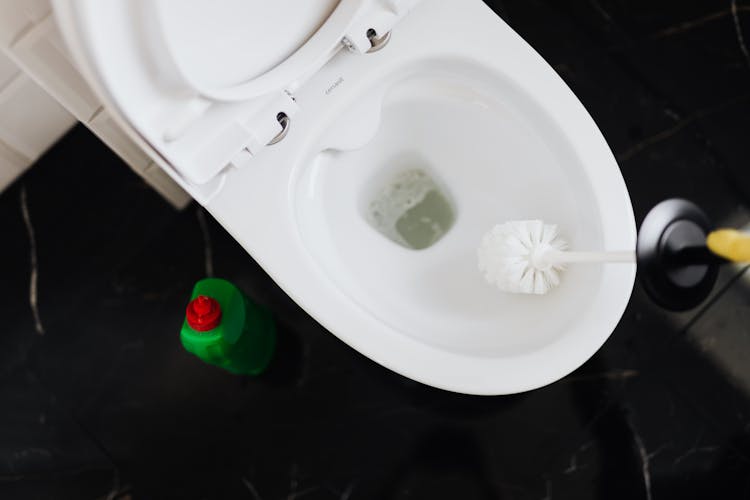 Crop Person Cleaning Toilet Bowl With Toilet Brush