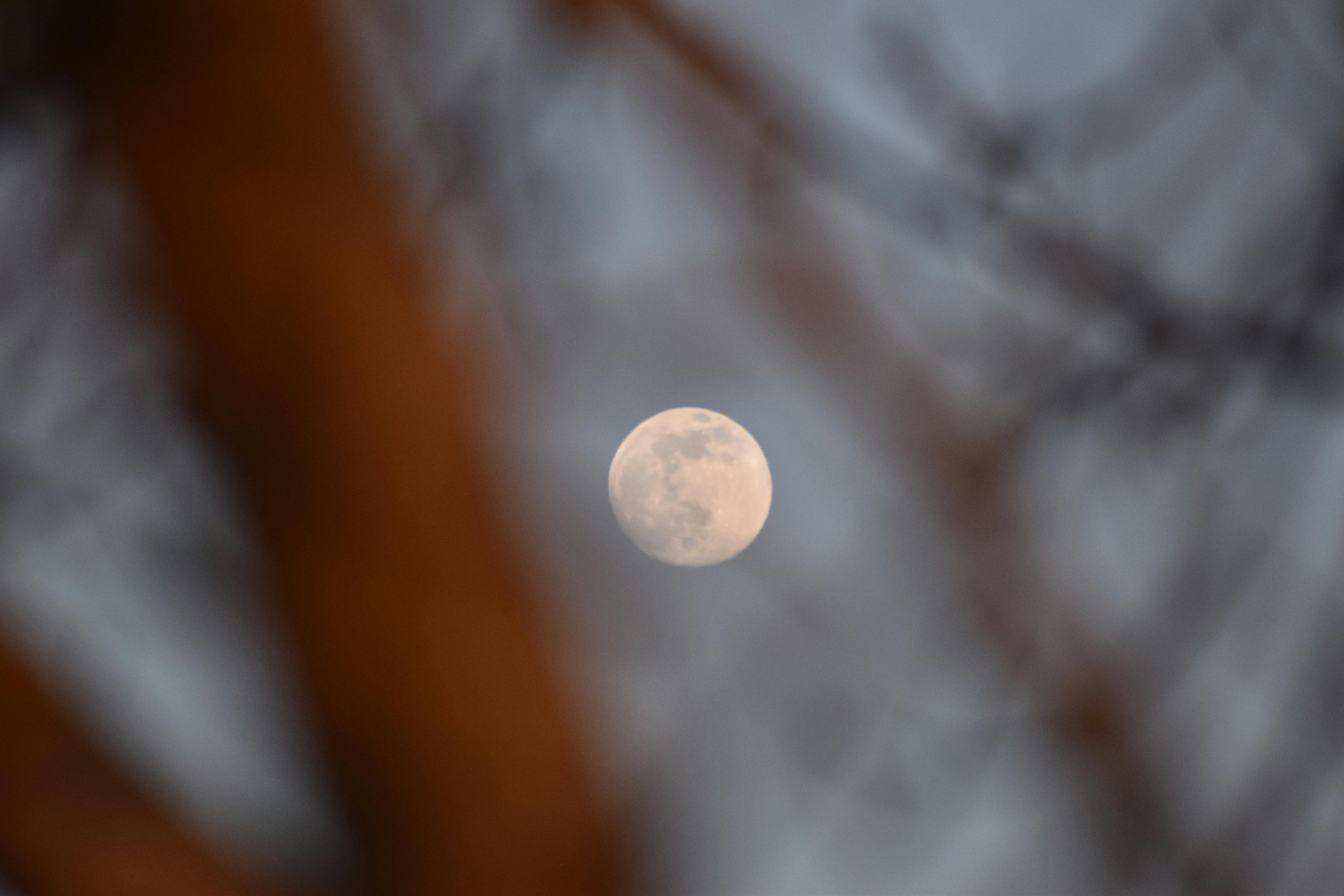 Person using hand sanitizer while working at a desk